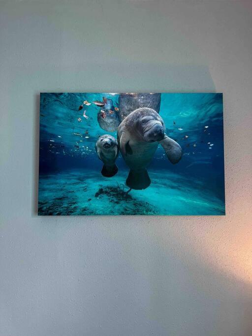 House Of Manatees-Entire House With Yard, Fire Pit, Dog Friendly Villa Crystal River Exterior photo